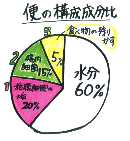 腸活メリット１