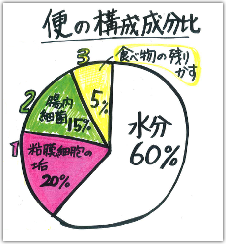 腸活とは？