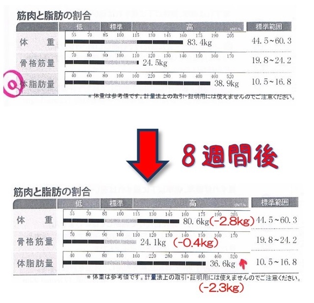 Hさん8週kん体重グラフ